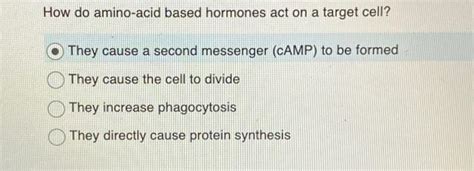 Solved How Do Amino Acid Based Hormones Act On A Target Chegg