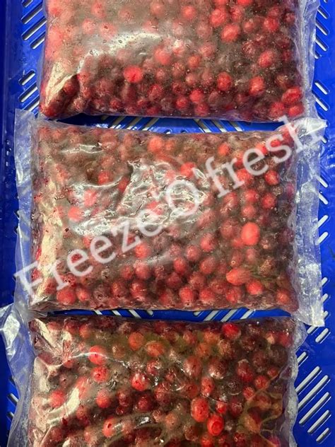 Frozen Cranberry Natural Packaging Size Kg Packaging Type Packet