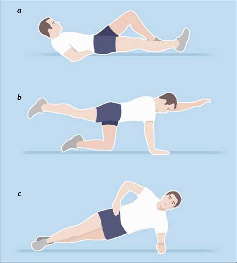 Core Stability Exercises | Download Scientific Diagram