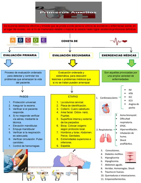 Primeros Auxilios Mapa Conceptual Vioso Porn Sex Picture