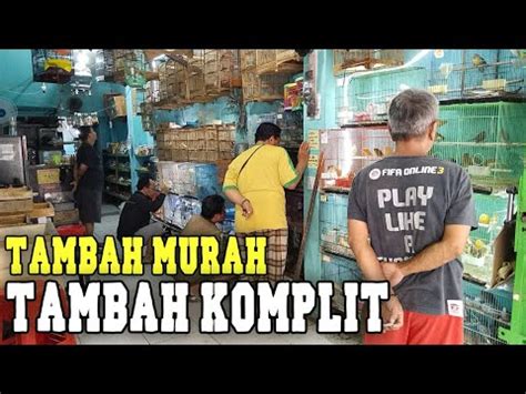 Wah Sekarang Bukan Hanya Agen Kenari Tapi Mulai Ecer Burung Yg Lagi