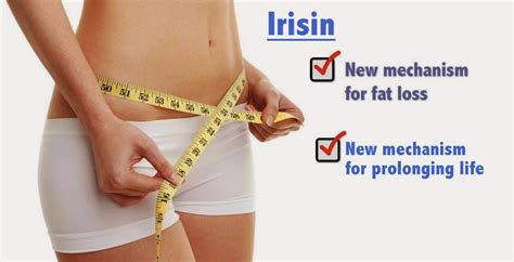 DermaSphere: “Live Long & Skinny” Hormone — Irisin