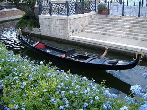 Gondola Boat Epcot Florida Flowers Water HD Wallpaper Pxfuel