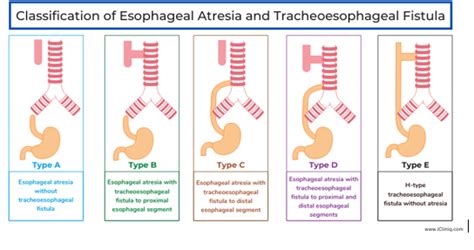 Tracheoesophageal Fistula & Esophageal Atresia | Brown Pediatrics Residency