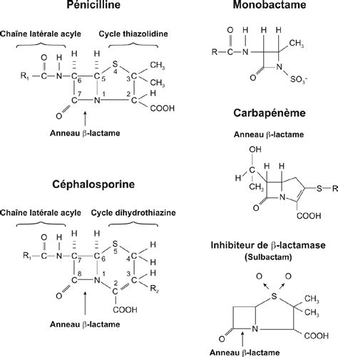 Pdf R Sistance Aux Lactamines Large Spectre Chez Les Bact Ries