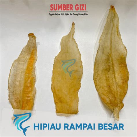 Jual YI PHIAU HIPIAU HIPIO PERUT IKAN RAMPAI BESAR GELEMBUNG IKAN FISH