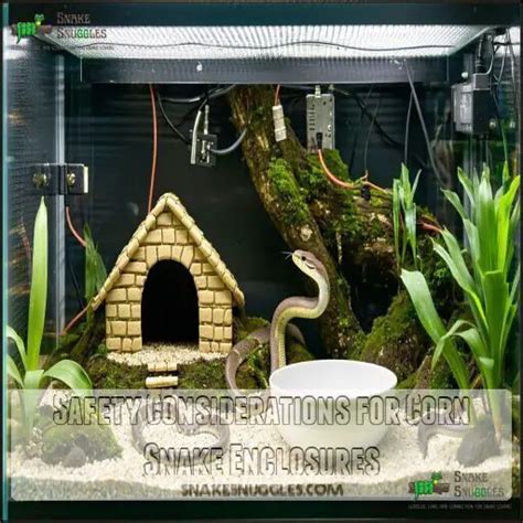Corn Snake Enclosure Setup: Expert Secrets to Reptile Bliss!