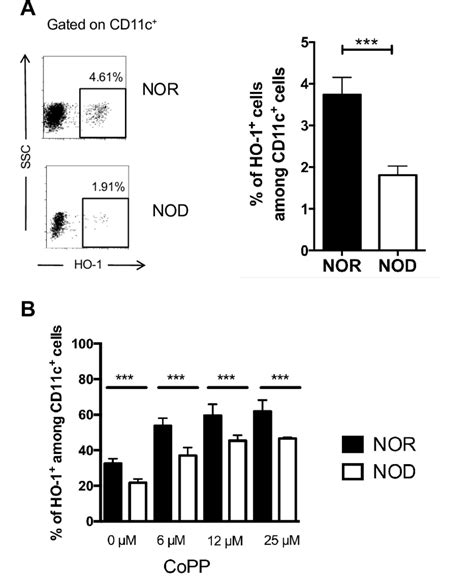 Heme Oxygenase 1 Expression Deficiency In NOD DCs A HO 1 Expression