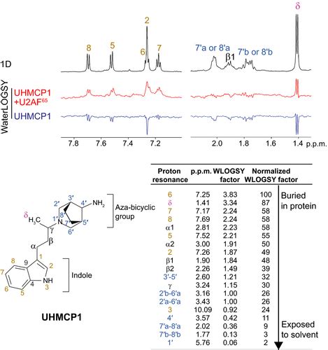 Identification Of A Small Molecule Splicing Inhibitor Targeting Uhm