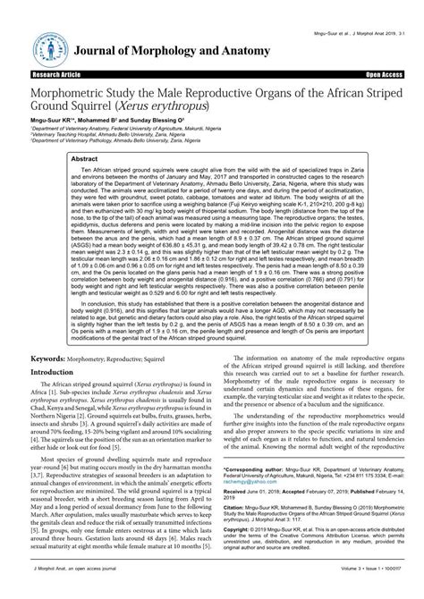 Morphometric Study The Male Reproductive Organs Of The African Striped