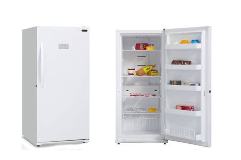 Top 10 Best Small Upright Frost Free Freezer of 2022 Review - VK Perfect