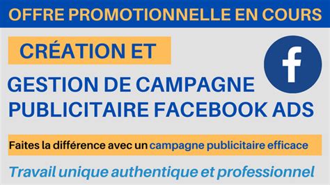 Je Vais Cr Er Et G Rer Efficacement Votre Campagne Publicitaire