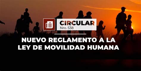 Nuevo Reglamento A La Ley De Movilidad Humana Puente Asociados