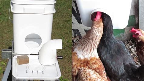 Make Your Own Chicken Feeder Youtube Chicken Feeder Diy Chicken Diy Easy Diy Chicken Feeder