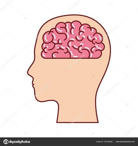 Head Silhouette With Brain