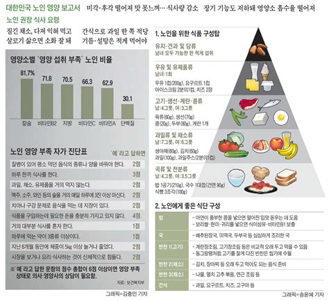 대한민국 노인 영양 보고서 65세 이상 절반이 영양 결핍 지방·비타민·미네랄 절대 부족 디지틀조선일보 인포그래픽스