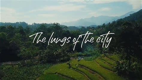 The Lungs Of The City Sentul Eco Edu Tourism Forest