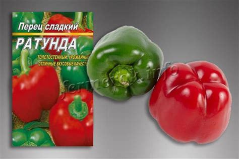Перец Ратунда: описание сорта, выращивание, отзывы, фото