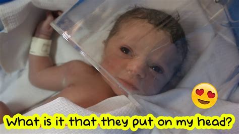 My Cute And Adorable Newborn Baby With Oxygen Hood After Birth 😍🍼 Youtube