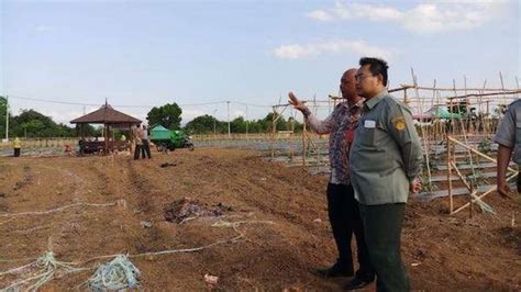 Foto Hps Di Kalsel Kementan Manfaatkan Potensi Pertanian Lahan Rawa