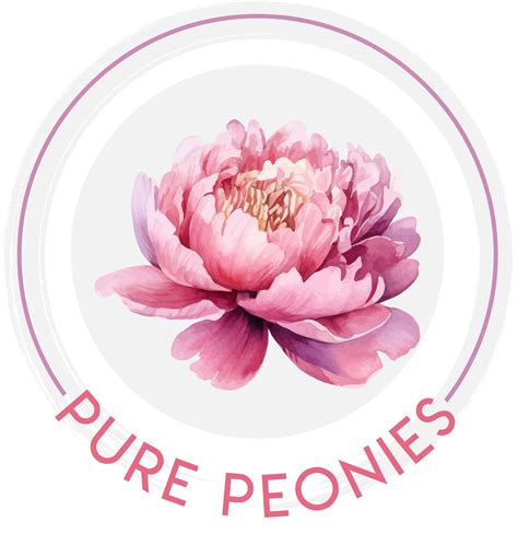 Pure Peonies | Everson WA