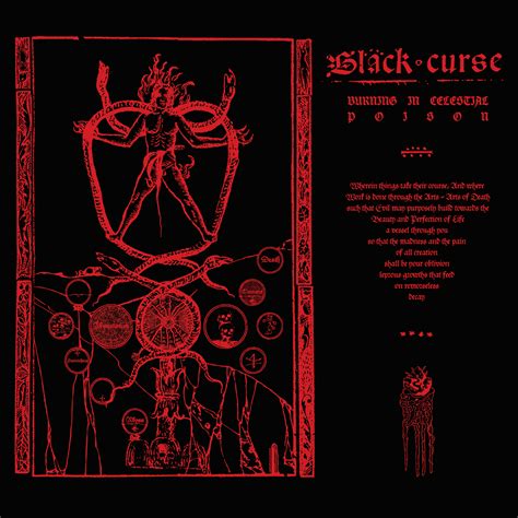 Black Heart The Curse Workers Band 3 6