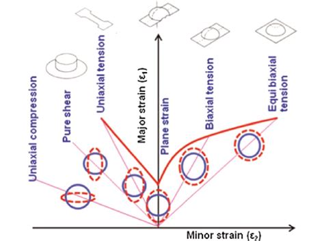 Overview Of The Forming Limit Diagram And Strain Paths 1 Download