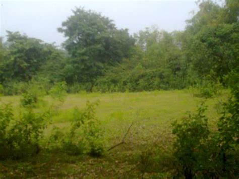 Agricultural Land 27 Guntha For Sale In Ankola Uttara Kannada REI273526