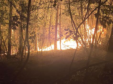 Požar na Krasu že zajel tri hiše v teku je evakuacija iz vasi