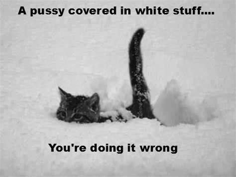 Pornstars Without Makeup Page 39 Freeones Forum The Free Sex Community