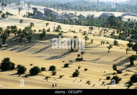 Faya Largeau Oase. Ennedi-massiv. Wüste Sahara. Tschad Stockfotografie