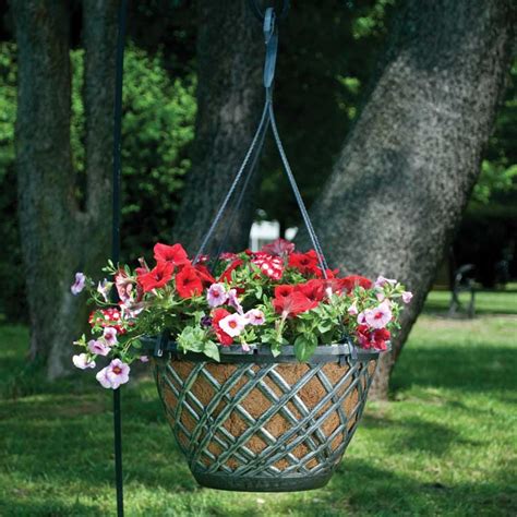 Plaid 14 In Plastic Hanging Basket With AquaSav Coco Liner Pride