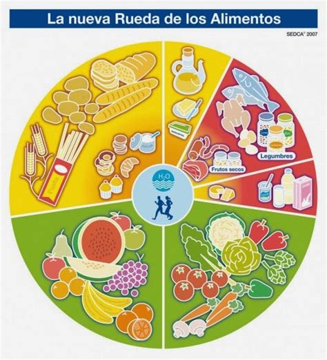 Infancia Y Salud Las Pir Mides Alimentarias Y Las Ruedas De La