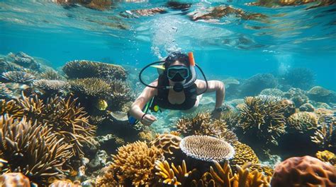 Premium Photo | Underwater image of a scuba diver exploring a coral reef