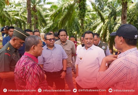 Pj Gubernur Bahtiar Produktifkan Lahan Milik PTPN XIV Untuk Ditanami Pisang