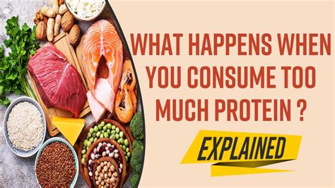 Explained What Happens When We Consume Too Much Proteins Risks And Side Effects Explained