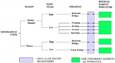 Conceptual framework for developing a mesohabitat classification scheme... | Download Scientific ...