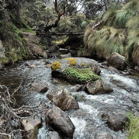 PROTOCOLO DE EVALUACIÓN DE LA INTEGRIDAD ECOLÓGICA DE LOS RÍOS DE LA