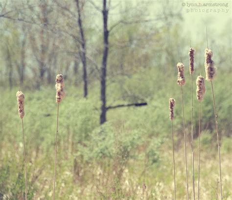 group of seven | Group of seven, Seventh, Photography