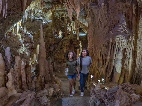 David Attenborough’s Oceans: The Deep Blue’s Hidden Wonders Revealed