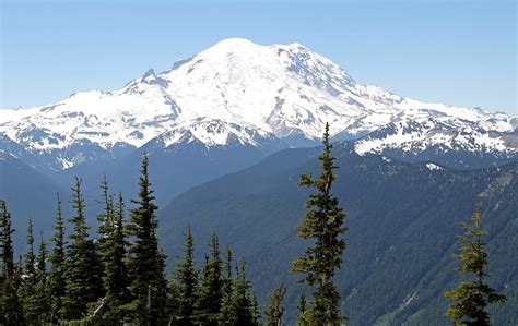 Free Mount Rainier Stock Photo - FreeImages.com