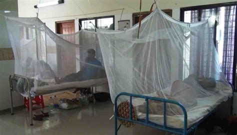 More Hospitalised As Dengue Cases Keep Rising In Bangladesh