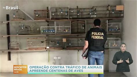 Pf Prende O Maior Traficante De Animais Do Pa S Youtube