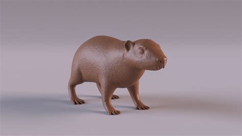 3D Hyrax - TurboSquid 2007012