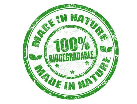 Does Biodegradable Mean Environmentally Safe? - Thinking Sustainably 