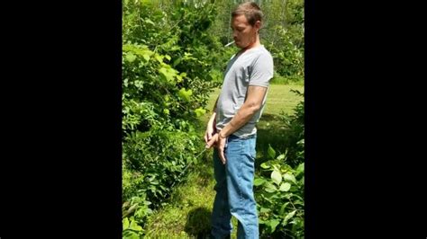 L Uomo Che Fa Pip Nella Natura Pornhub Gay