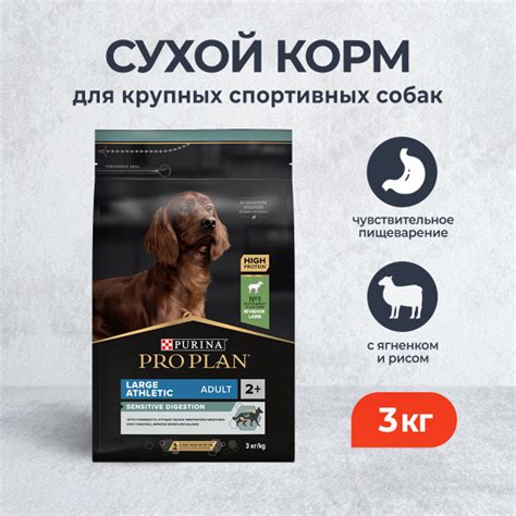 Pro Plan Adult Large Athletic OptiDigest сухой корм для взрослых собак ...