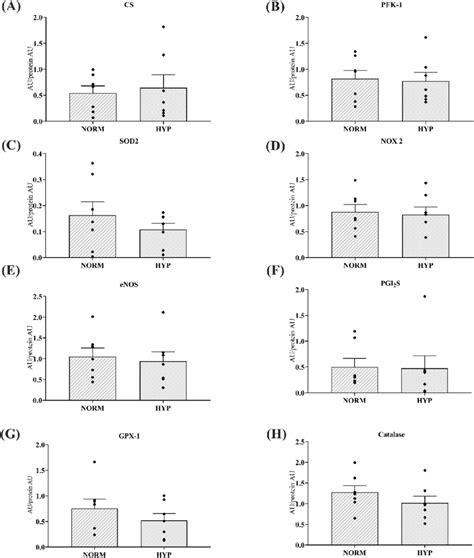 Protein Expression In Microvascular Endothelial Cells Obtained From