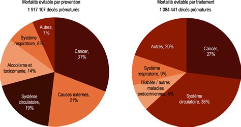 Mortalité évitable Par Prévention Et Traitement Panorama De La