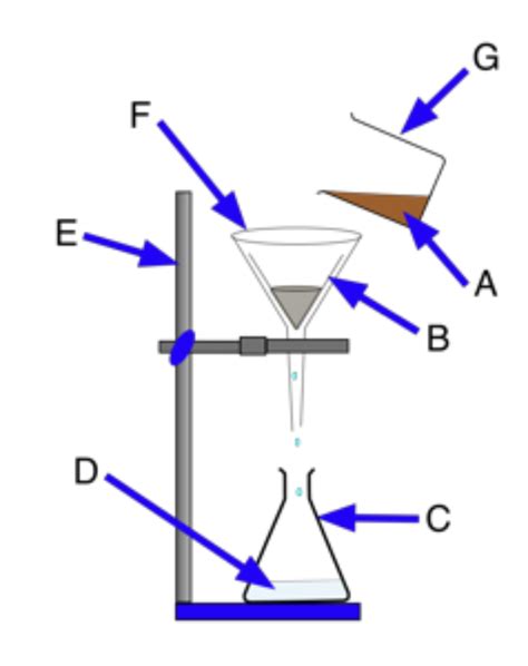 Filtration Diagram | Quizlet